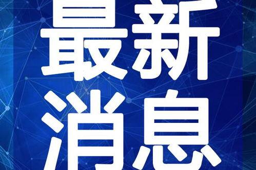 沙河村最新爆料新闻视频,揭秘村庄神秘事件视频曝光
