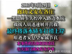 文安网友爆料视频大全最新,最新热点事件一网打尽